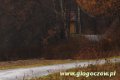 2006-11-06_Kapliczka_+sw_Jana_Nepomucena_[03].jpg